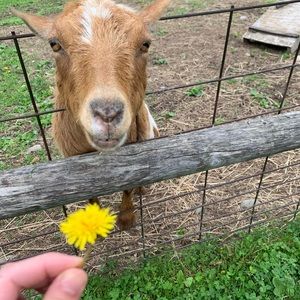 Meet your Posher, Stefanie